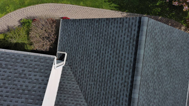 Best Roof Moss and Algae Removal  in Fayetteville, WV